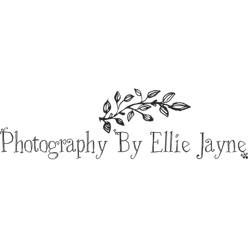 Wedding professional website design client