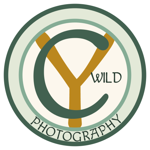 Fun family photography website