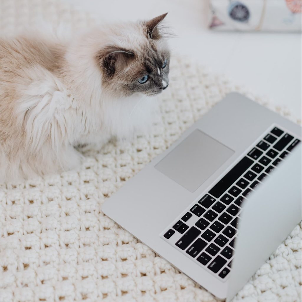 Does my business need a website