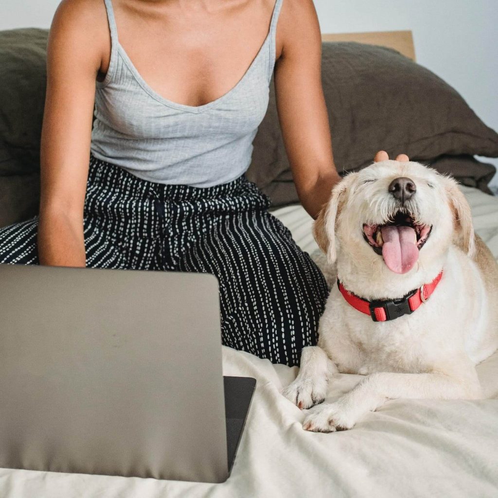 Successful business women UK